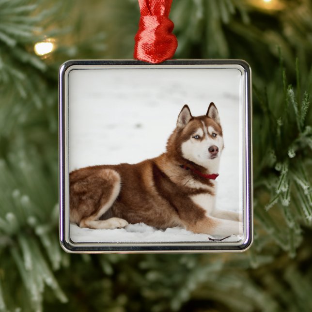 Cute Siberian Husky Portrait Metal Ornament (Tree)