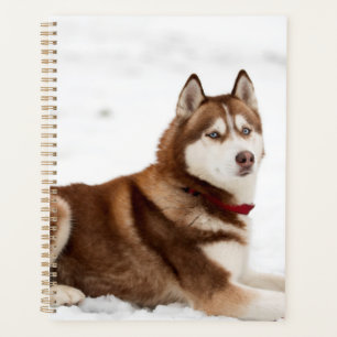 Cute Siberian Husky Portrait Planner