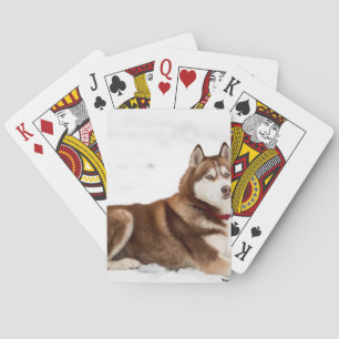 Cute Siberian Husky Portrait Playing Cards
