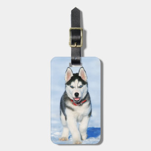 Cute Siberian Husky Puppy Dog in the Snow Luggage Tag