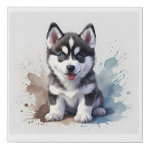 Cute Siberian Husky puppy, watercolor on 