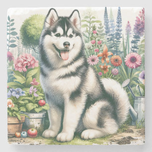 Cute Siberian Husky Stone Coaster