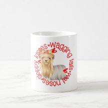 Cute Silky Terrier dog, sloppy kisses