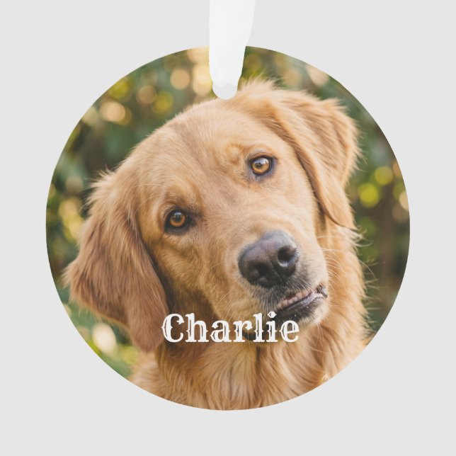 Cute Simple Modern Custom Pet  Ornament (Front)