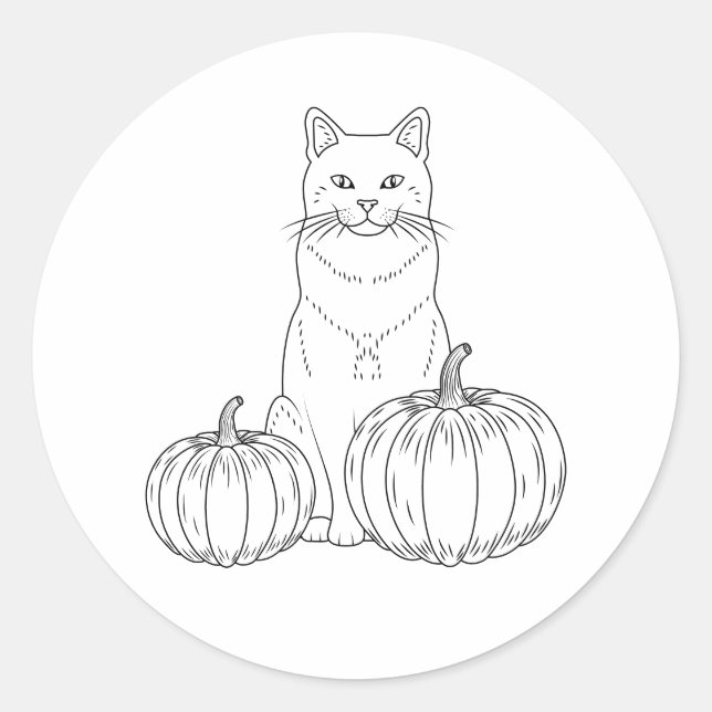 Cute Sitting Cat With Pumpkins Autumn Line Art Classic Round Sticker (Front)