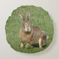 Cute Sitting Hare Close up Round Pillow