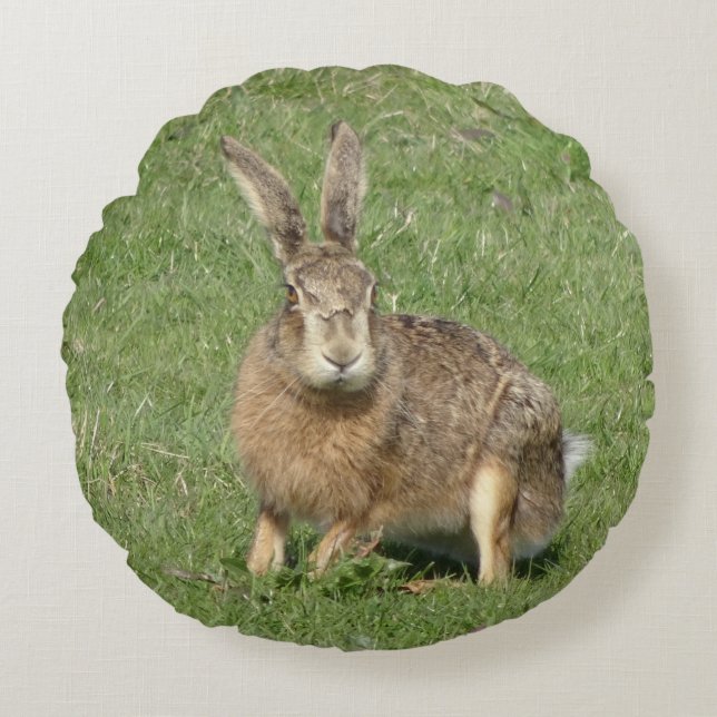 Cute Sitting Hare Close up Round Pillow (Front)