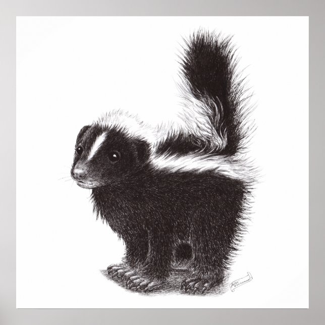 Cute Skunk - Drawing Poster (Front)