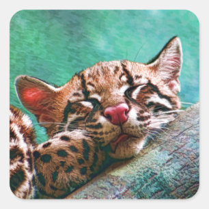 Cute Sleeping Baby Ocelot Kitten Square Sticker