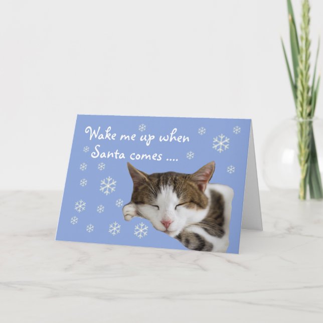 Cute Sleeping Cat Snowflakes Blue Christmas Card (Front)