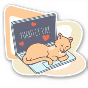 Cute sleeping computer cat