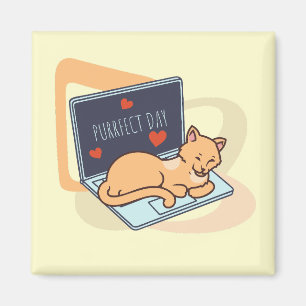 Cute sleeping computer cat magnet