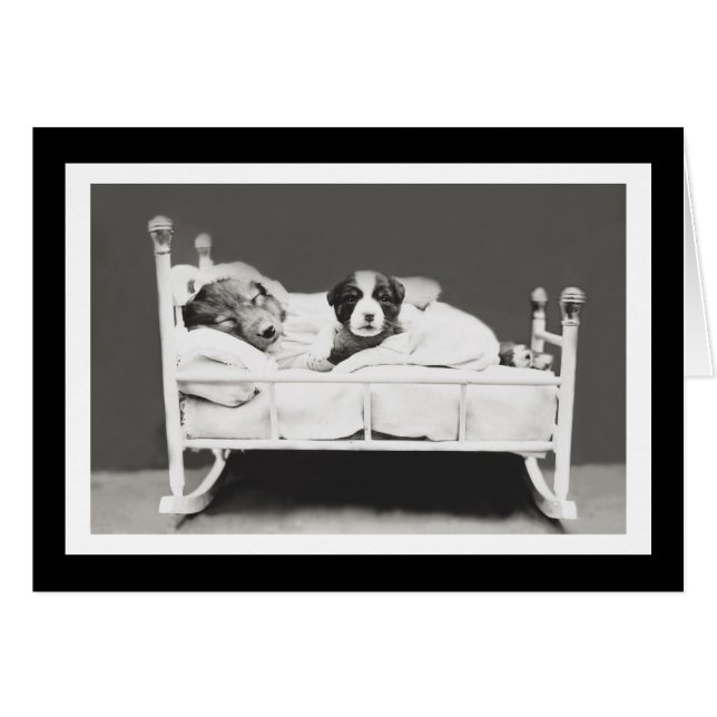 Cute Sleeping Dogs by Harrier Whittier Frees (Front Horizontal)