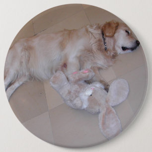 Cute Sleeping Golden Retriever With Toy Rabbit 6 Inch Round Button