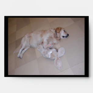 Cute Sleeping Golden Retriever With Toy Rabbit Envelope