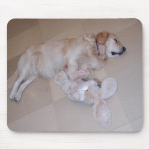 Cute Sleeping Golden Retriever  With Toy Rabbit Mouse Pad
