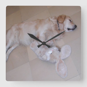 Cute Sleeping Golden Retriever With Toy Rabbit Square Wall Clock