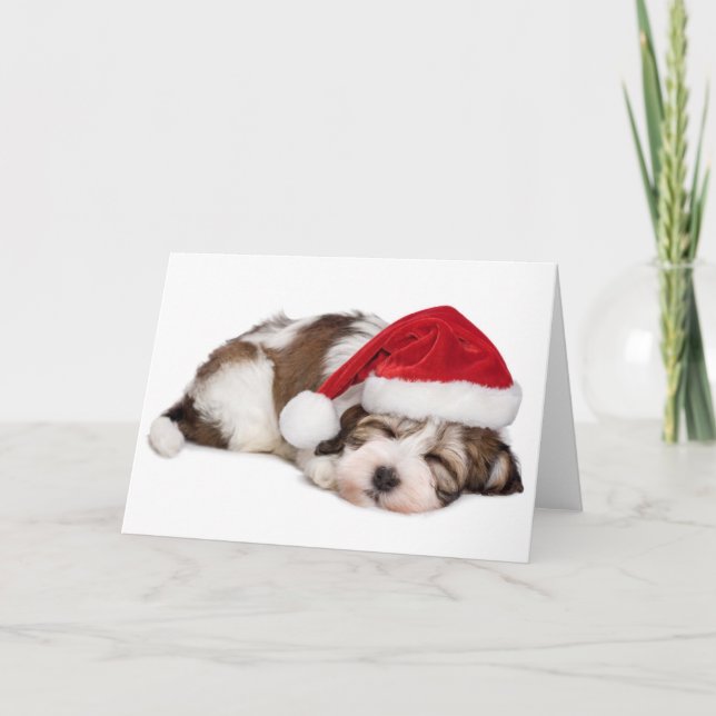 Cute Sleeping Havanese Puppy Dog Is Dreaming Holiday Card (Front)