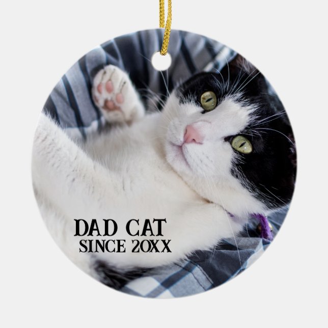 Cute Sleeping Kitten  Ceramic Ornament (Front)