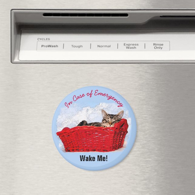 Cute Sleeping Kitten In Red Basket Custom Photo Magnet (In Situ (Dishwasher))
