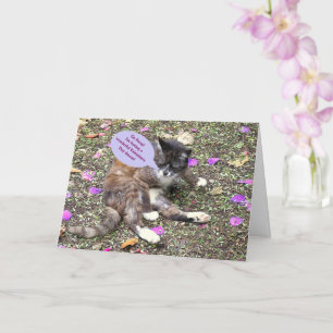 "Cute Sleeping Kitten/Valentine's Day dream" Card