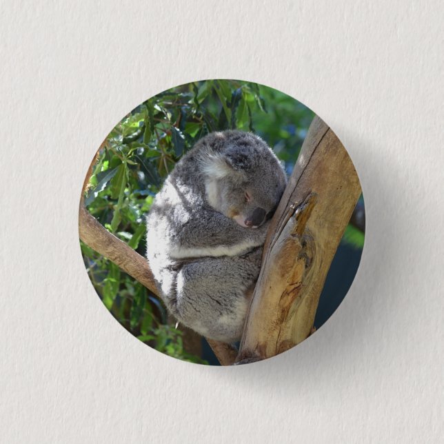 Cute Sleeping Koala in Tree 1 Inch Round Button (Front)