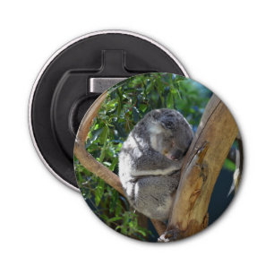 Cute Sleeping Koala in Tree Bottle Opener