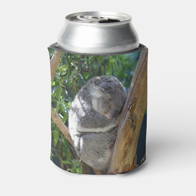 Cute Sleeping Koala in Tree Can Cooler (Can Back)