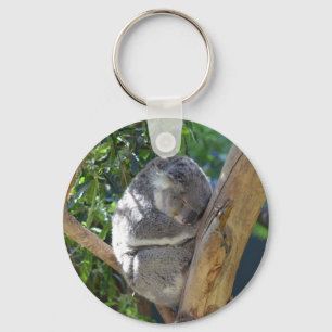 Cute Sleeping Koala in Tree Keychain