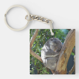 Cute Sleeping Koala in Tree Keychain