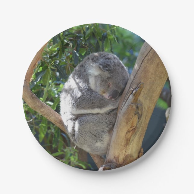 Cute Sleeping Koala in Tree Paper Plate (Front)