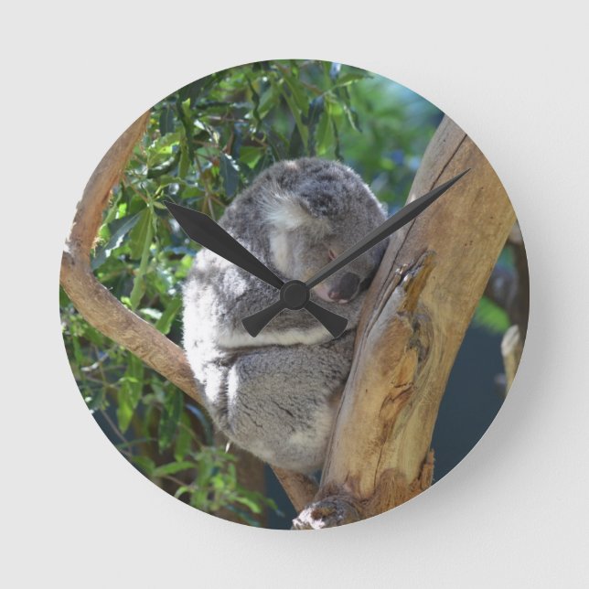 Cute Sleeping Koala in Tree Round Clock (Front)