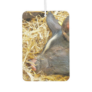 CUTE SLEEPING PIG AIR FRESHENER