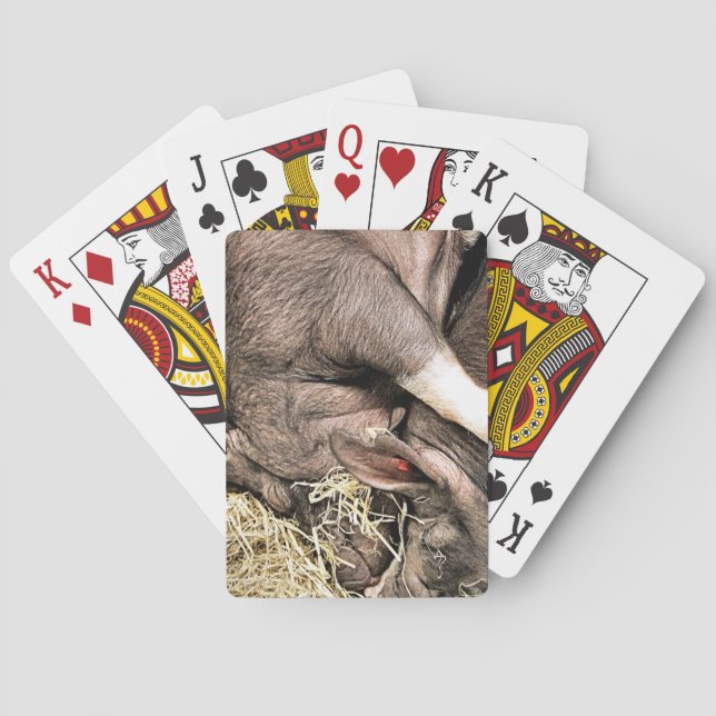 CUTE SLEEPING PIGS PLAYING CARDS (Back)