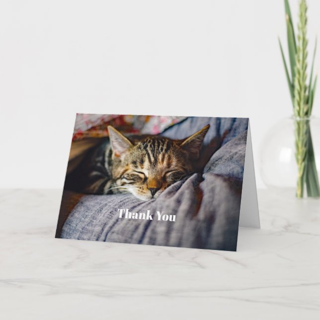 Cute Sleeping Tabby Cat Photo Thank You Card (Front)