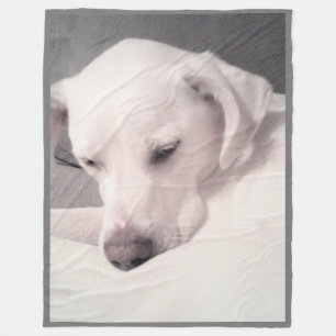 Cute Sleepy Graceful Labrador Mix Dog Grey Fleece Blanket