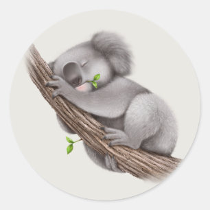 Cute sleepy Koala Bear Classic Round Sticker