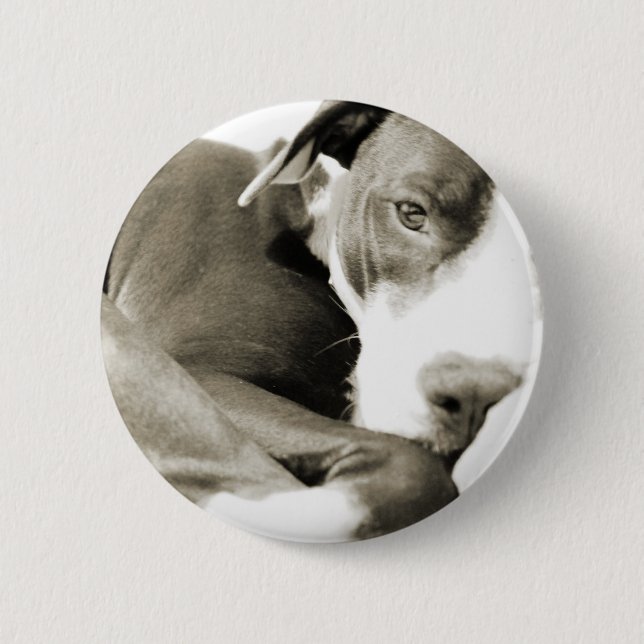 cute sleepy lazy pit bull dog 2 inch round button (Front)