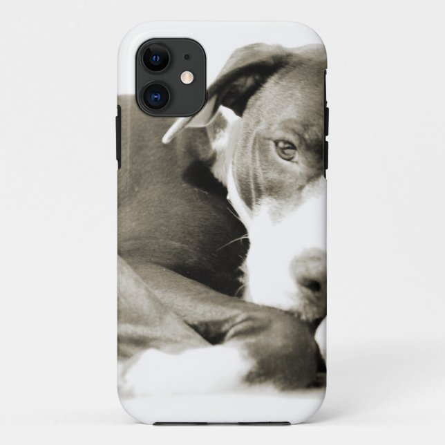 cute sleepy lazy pit bull dog Case-Mate iPhone case (Back)
