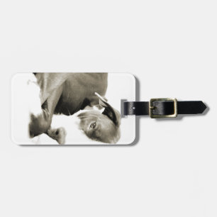 cute sleepy lazy pit bull dog luggage tag