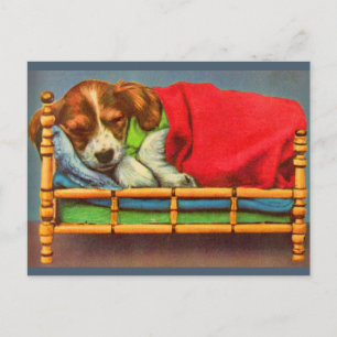 cute sleepy puppy postcard