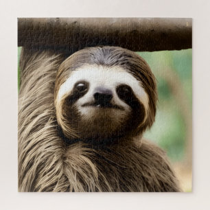 Cute sloth background jigsaw puzzle