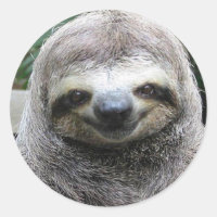 Cute Sloth Face