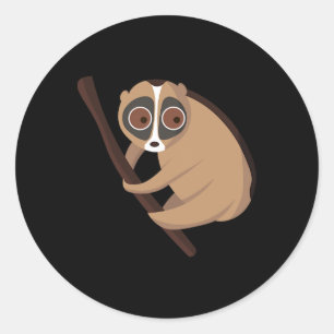 Cute Slow Loris Climbing A Branch Classic Round Sticker