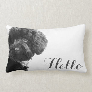 Cute Small Dog Puppy Toy Poodle Hello Custom Lumbar Pillow