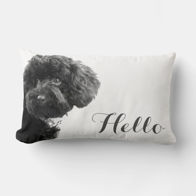 Cute Small Dog Puppy Toy Poodle Hello Custom Lumbar Pillow (Front)