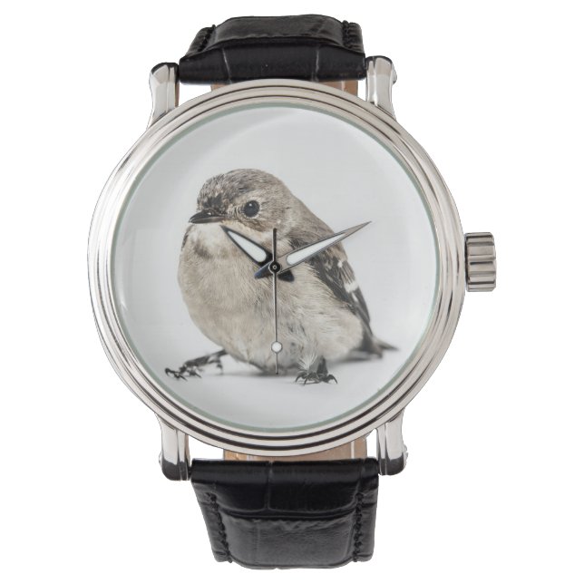 Cute Small Garden Bird Photo Watch (Front)