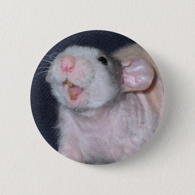 Cute Smile Rat 2 Inch Round Button (Front)