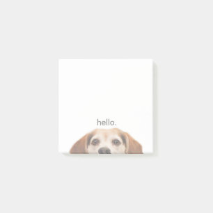 Cute Smiling Beagle with Hello Quote Post-it Notes