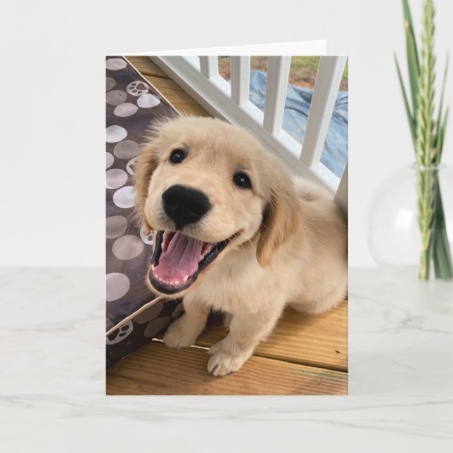 Cute Smiling Golden Retriever Puppy Dog Hello Card (Front)